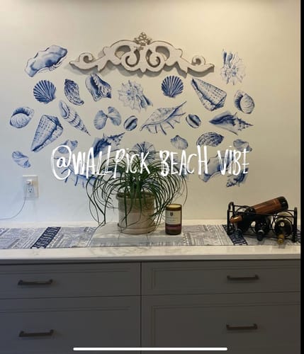 Customer photo review of Sea shells