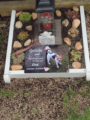 Customer photo review of Schlüsselanhänger-Bundle Leder 3x dein Foto für nur 19,90 €