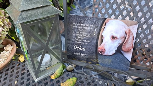 Customer photo review of Hunde Gedenktafel mit Foto & Spruch (UV- &  Wetterfest)