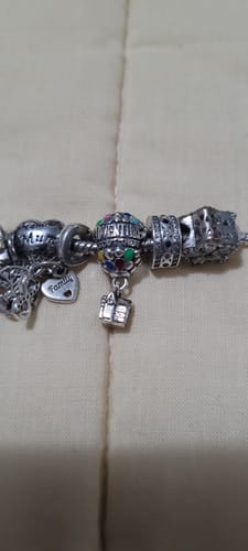 Customer photo review of Charm Casa de UP "Adventure Is Out There"