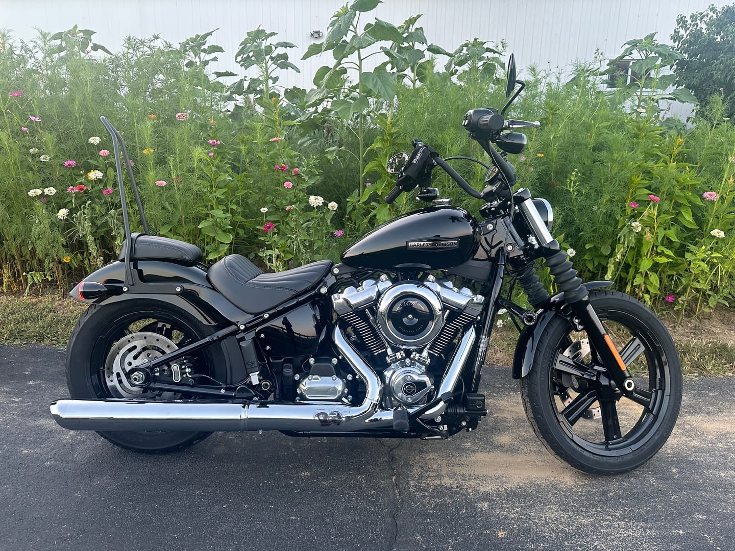 Customer photo review of Iron Born Blade 25" Sissy Bar for Harley Softail Street Bob Matte Black