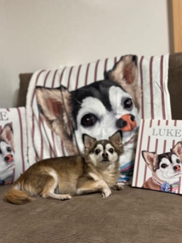 Customer photo review of Petcanvaオーダーメイド ペット似顔絵