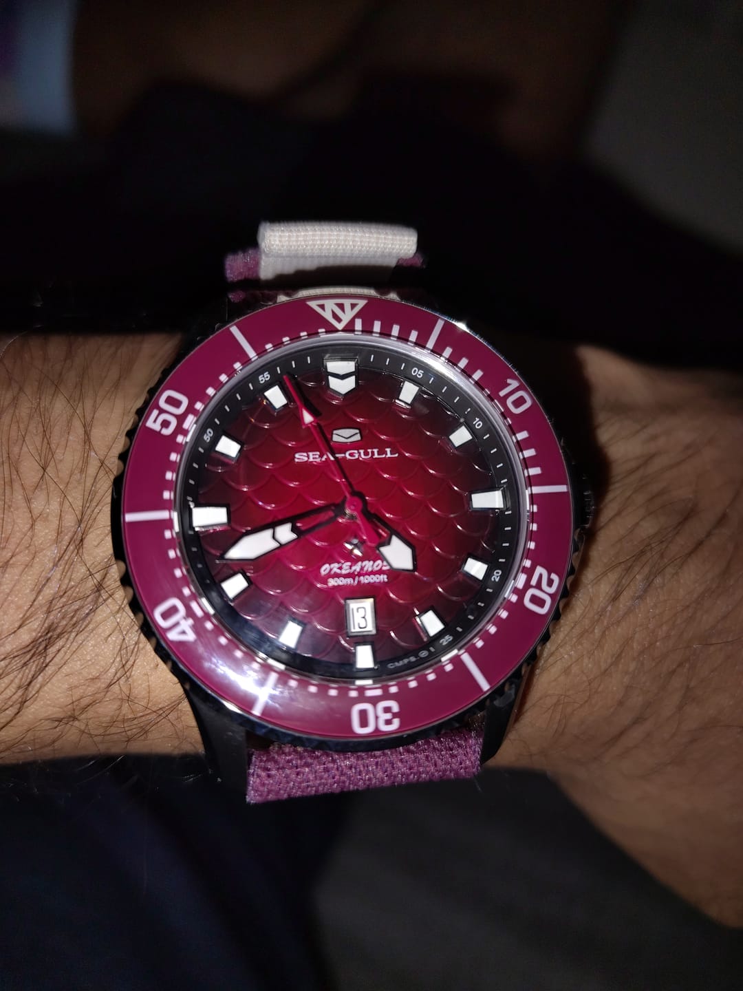Customer photo review of Ocean Series | Dragon Kings of the Four Seas | Dive | Dual Strap | 44mm