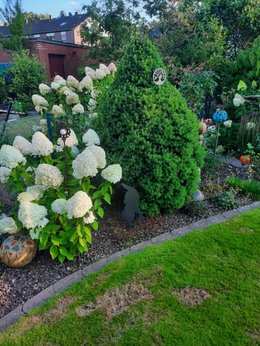 Customer photo review of Gartenstecker Gartenzwerg mit Gießkanne