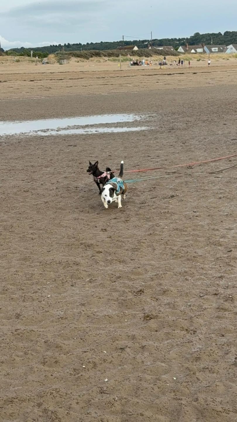 Customer photo review of Tidal Waterproof Longline