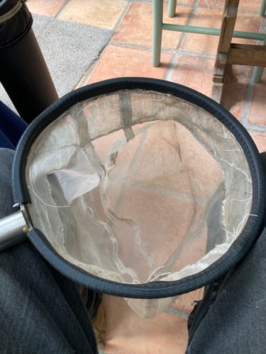 Customer photo review of Rubber Steel Reinforced Edge Trim Per Metre