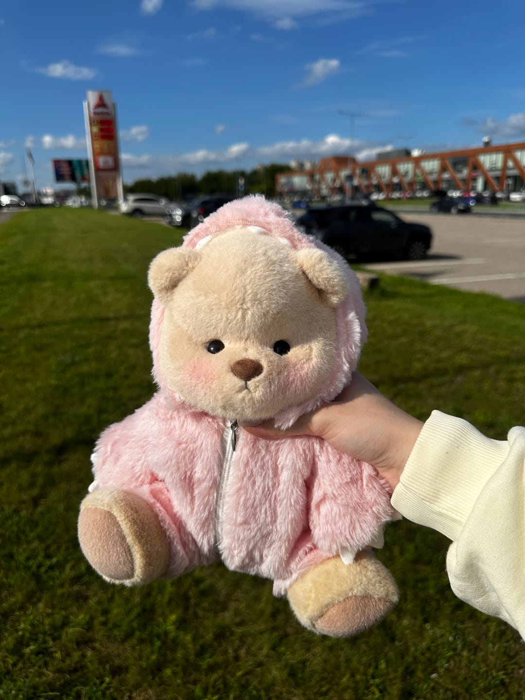 Customer photo review of Pink Dino