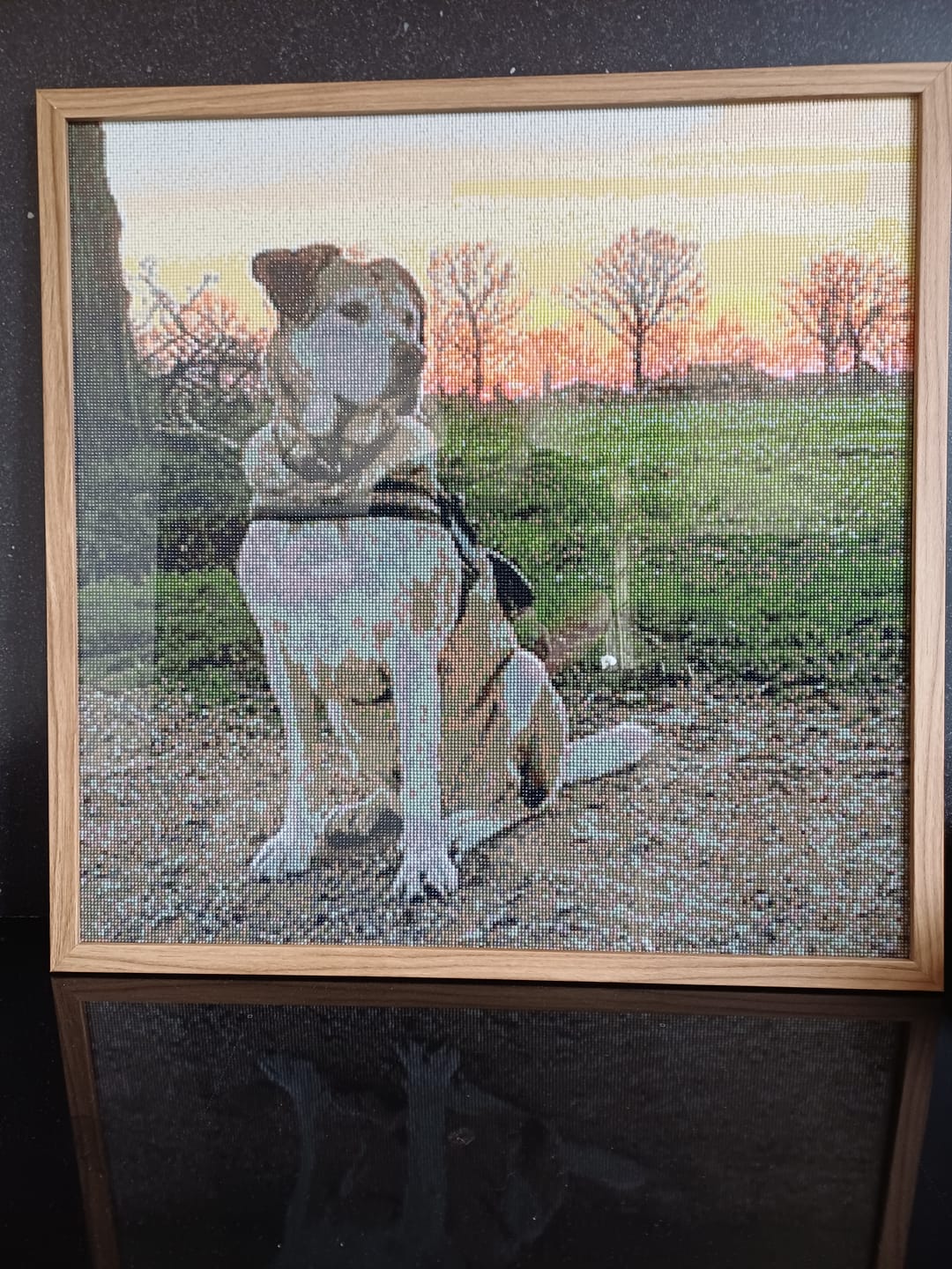 Customer photo review of Diamond Painting Eigen Foto - Snelle Levering