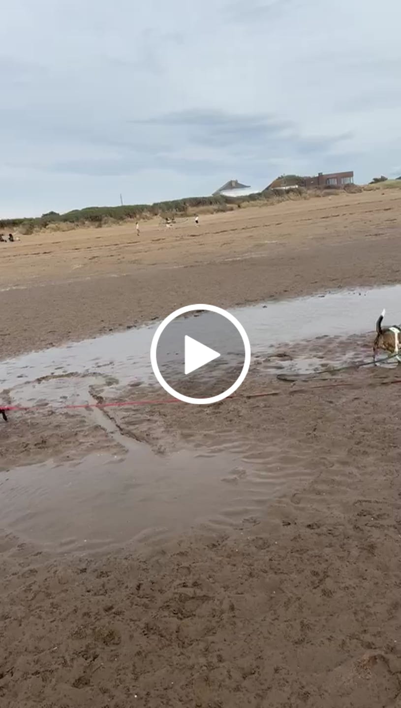 Customer video review of Tidal Waterproof Longline