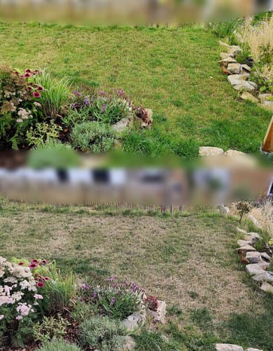 Kundenbewertung mit Foto zu RASENBLITZ™ - RASENRETTER GANZJAHRESDÜNGER SET