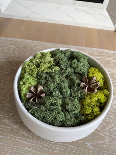 Customer photo of Premium Preserved Reindeer Moss from Kate G.