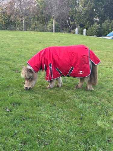 Customer photo review of Zilco Mighty Mini Winter Cover