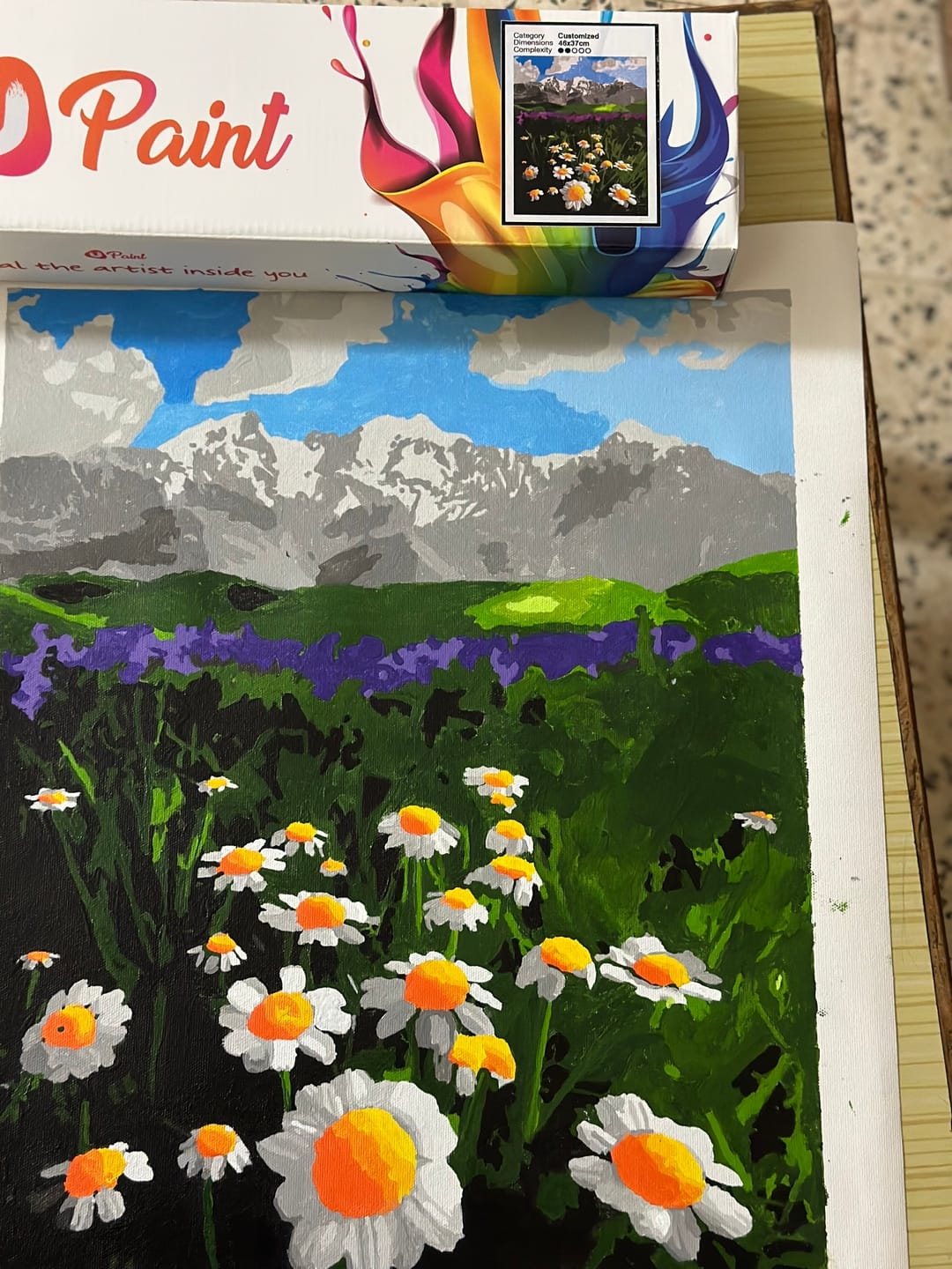 Customer photo review of Customized Paint by Numbers Kit - Paint Your Own Photo