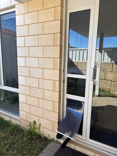 Customer photo review of Patio Pet Door Insert