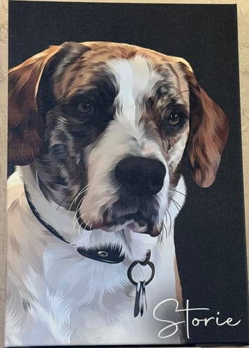 Customer photo review of Pet Art Canvas Wrap