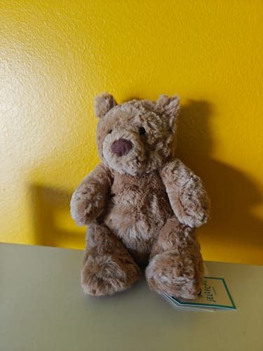 Customer photo review of Bartholomew Bear Tiny | Jellycat