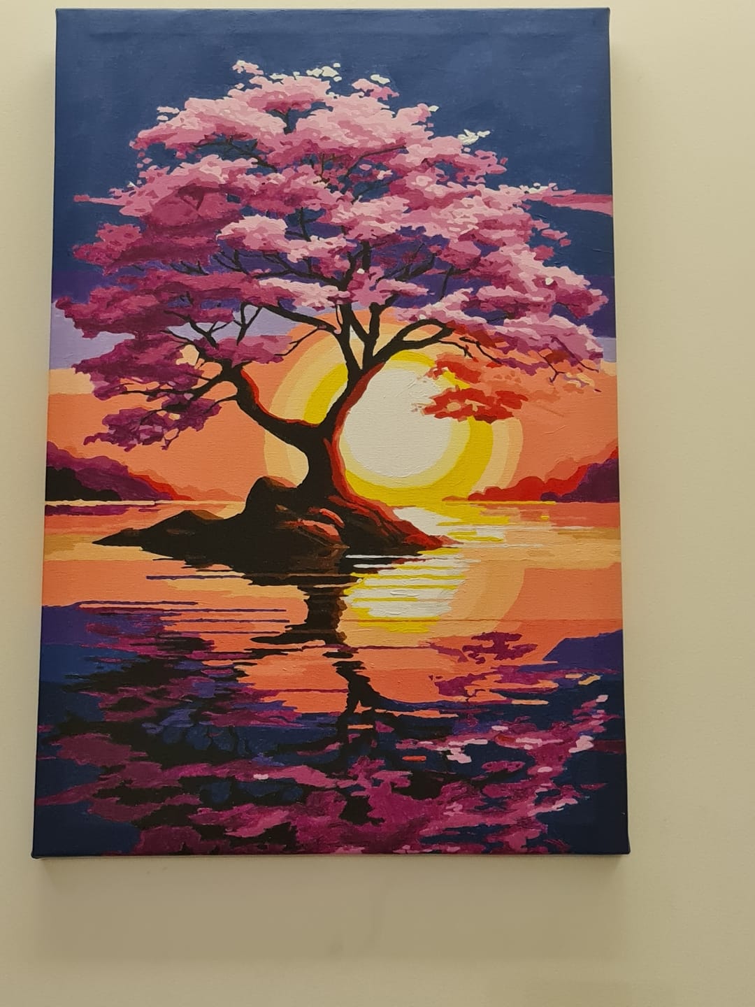 Customer photo review of Pink Horizon Sunset - Paint By Numbers Kit
