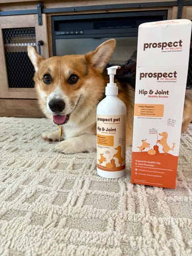 Customer photo review of Hip & Joint