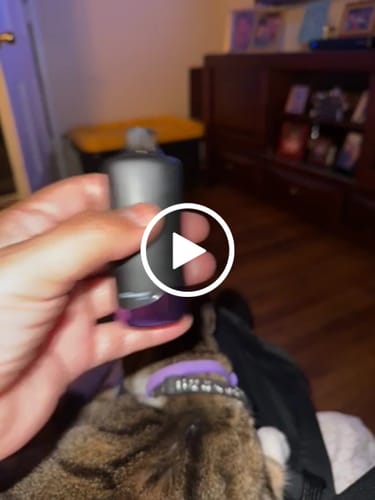 Customer video review of Candy Pack CBD Vape Pens - 2pc