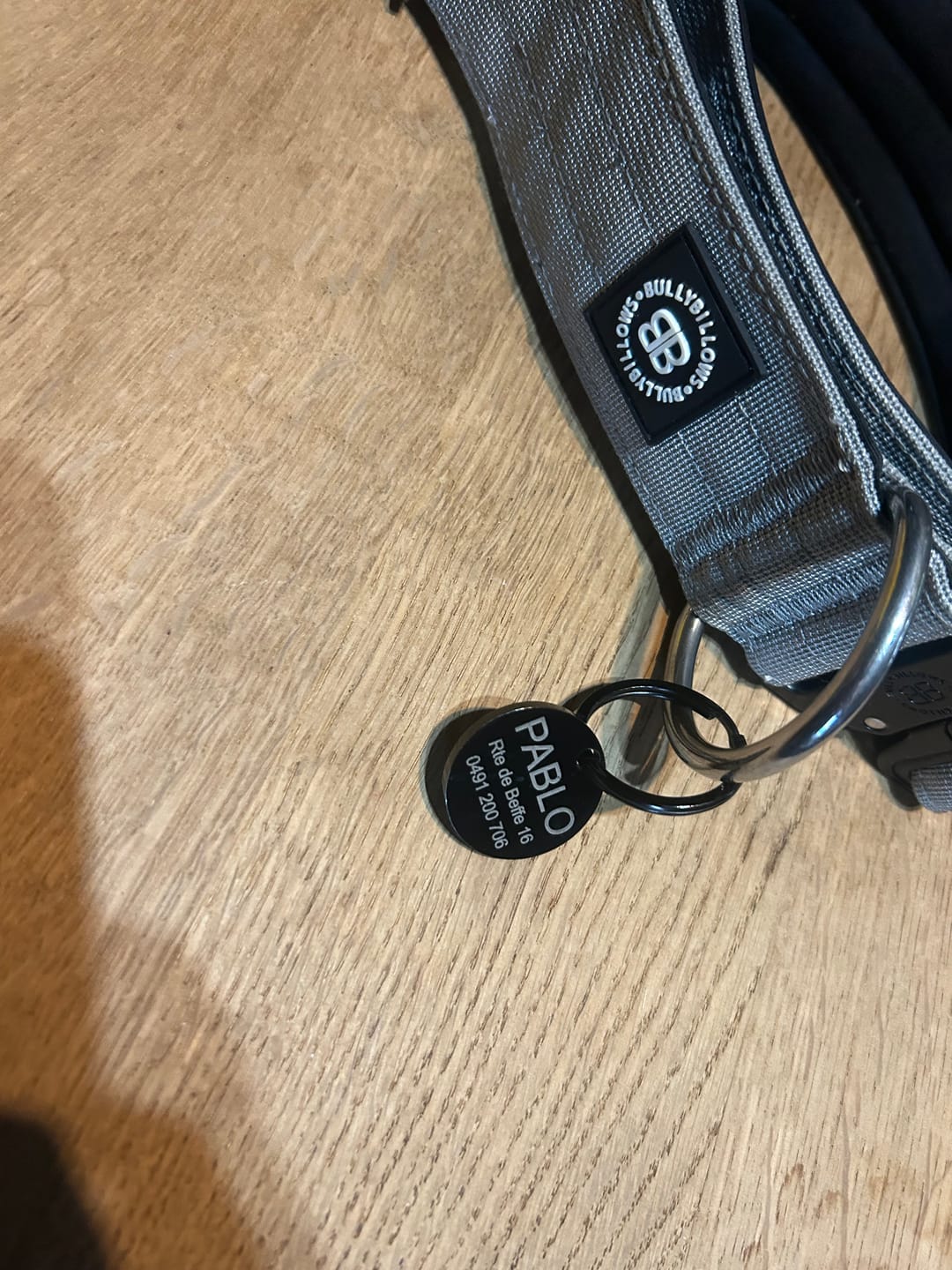 Customer photo review of Dog ID Tag - Black (With Gift Box)