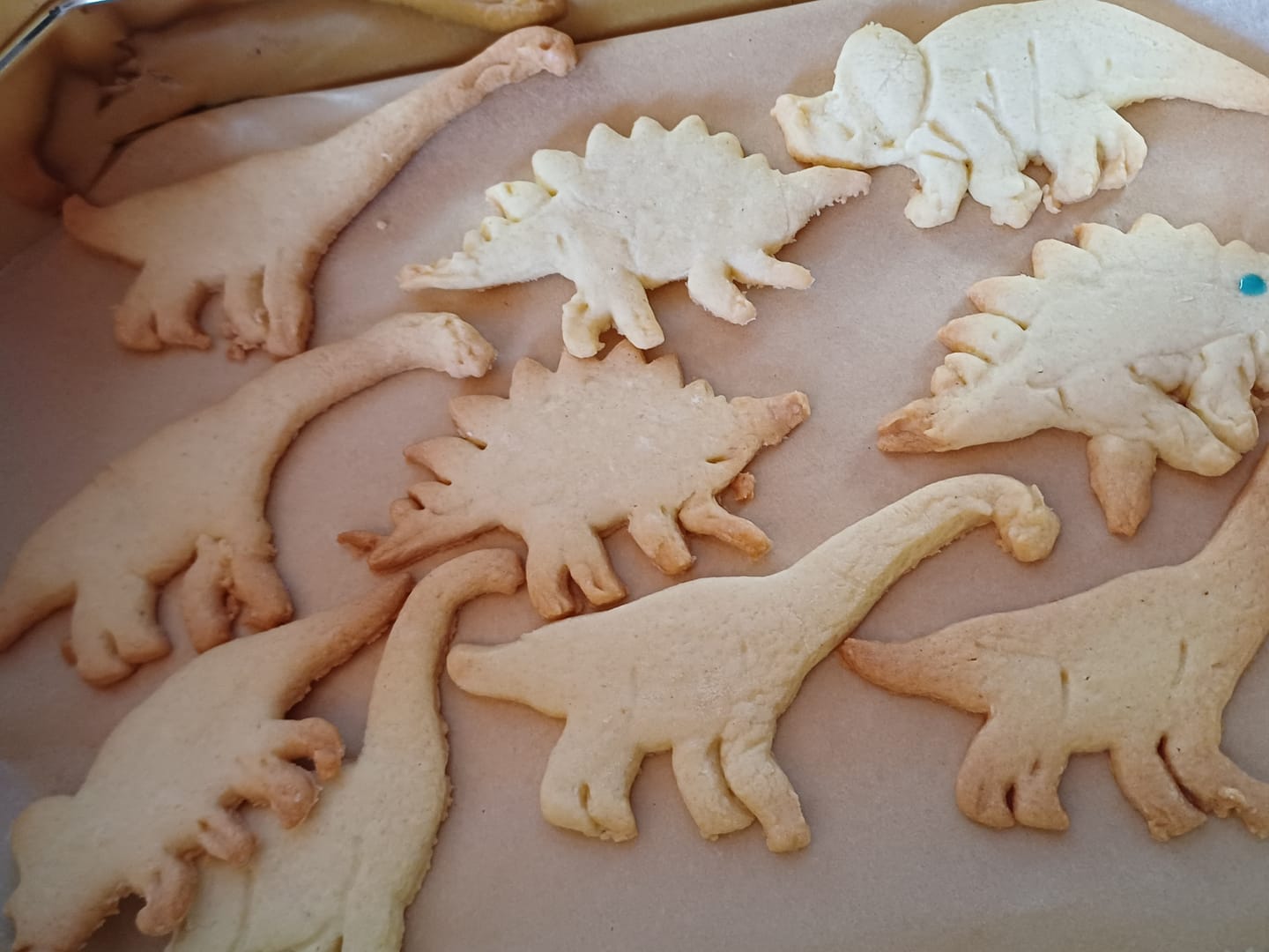Customer photo review of Keksausstecher - Dinosaurier