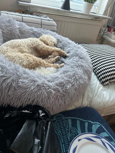 Customer photo review of Hopfällbar Hundvattenflaska