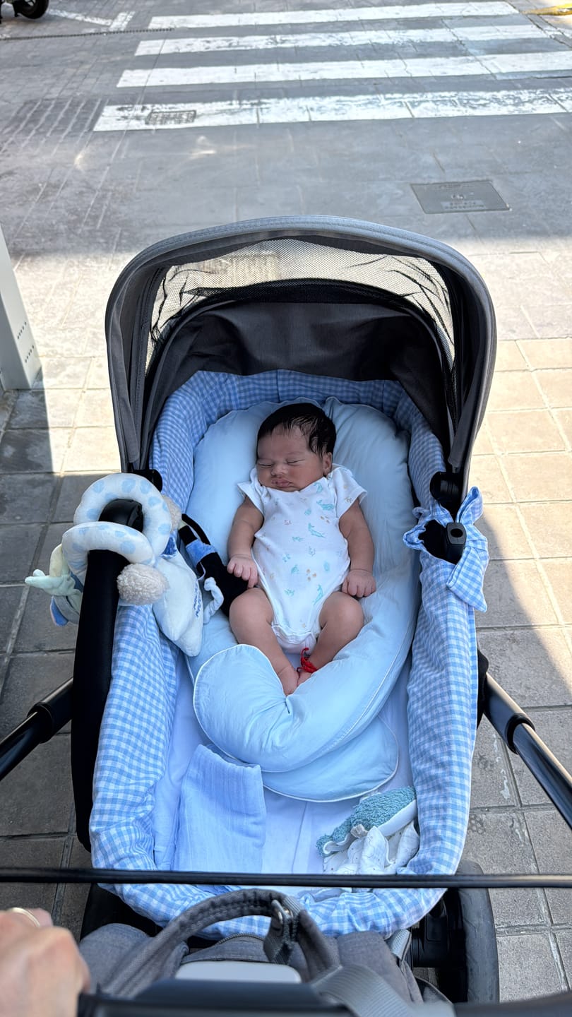 Customer photo review of NIDO PIKABÜ™ 🧸 ideal para bebés a partir de 4 meses - ideal para cuna