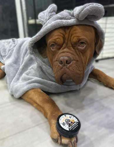 Customer photo review of Oatmeal Nose & Paw Balm Pot for Dogs