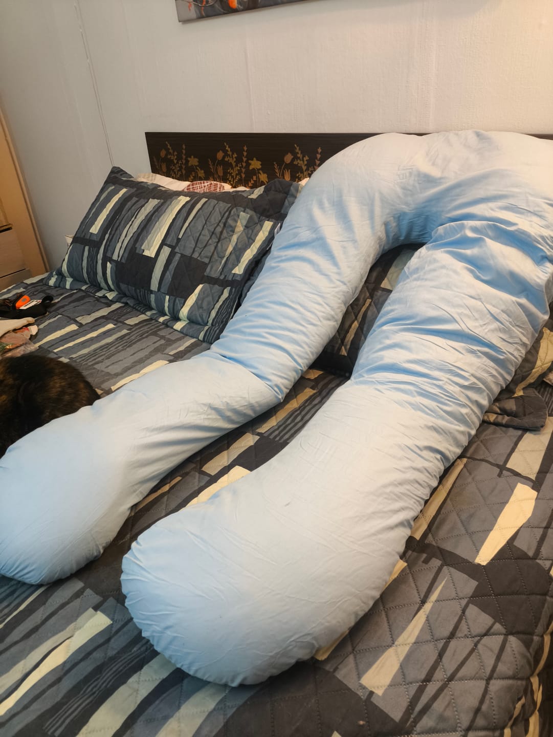Customer photo review of Almohada Cuerpo Completo Dormilones (Pruébala GRATIS)