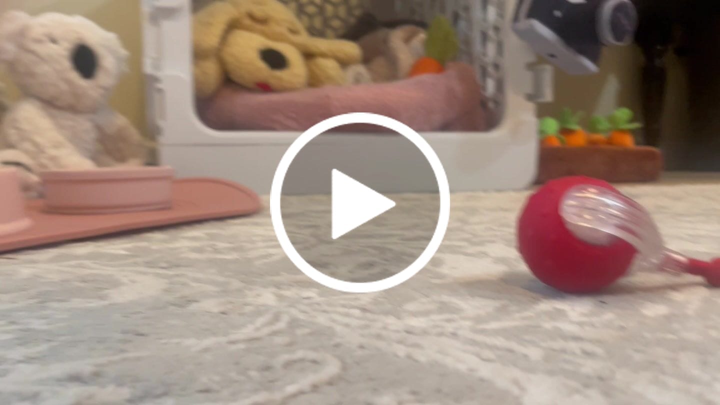 Customer video review of Kind Silicone Dog Food Mat