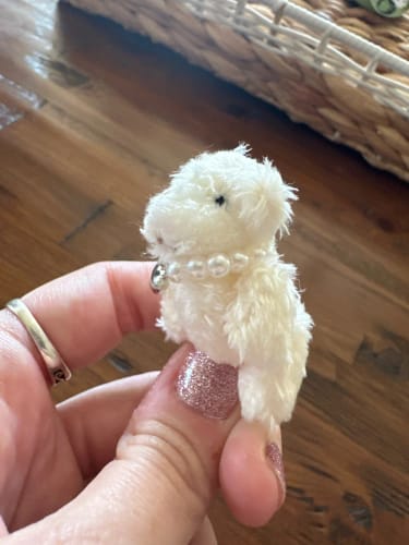 Customer photo review of Polar Bear Charm