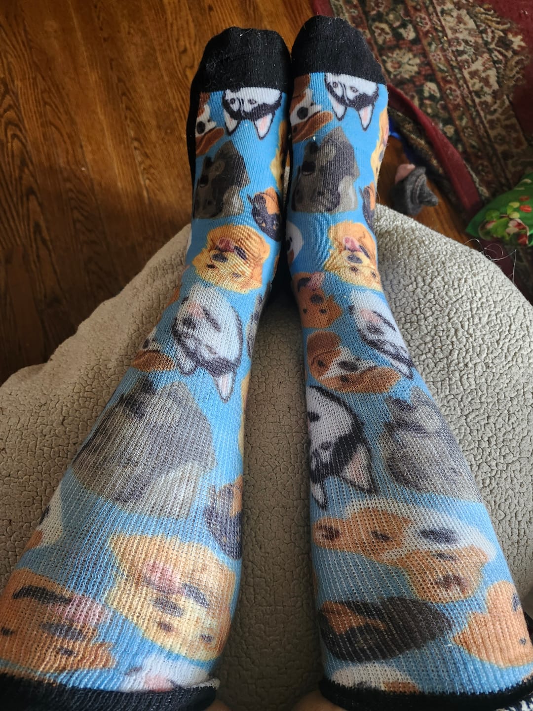 Customer photo review of Ruff Life EasyStretch™ Socks