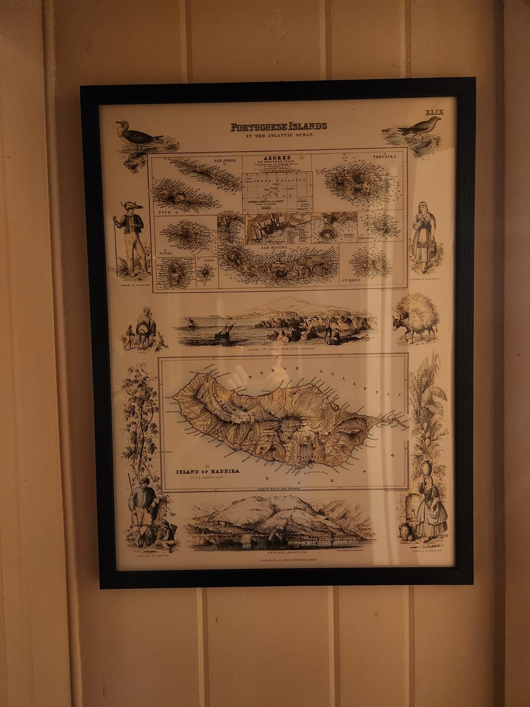 Customer photo review of Old Map of Azores & Madeira, 1865: Portuguese Islands, Funchal, Angra, Ponta Delgada, Fayal, Pico
