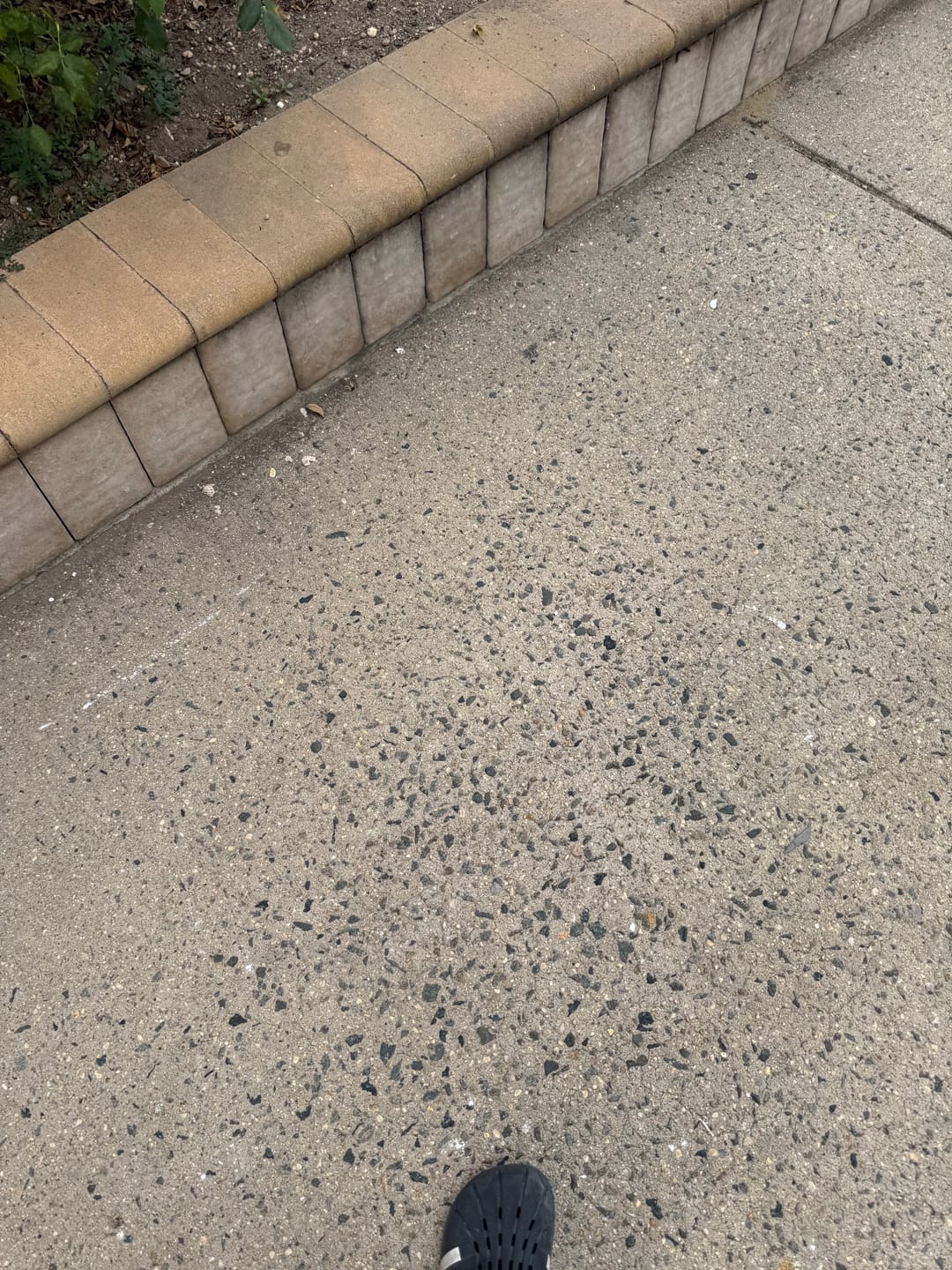 Customer photo review of Ledge Accessory Package