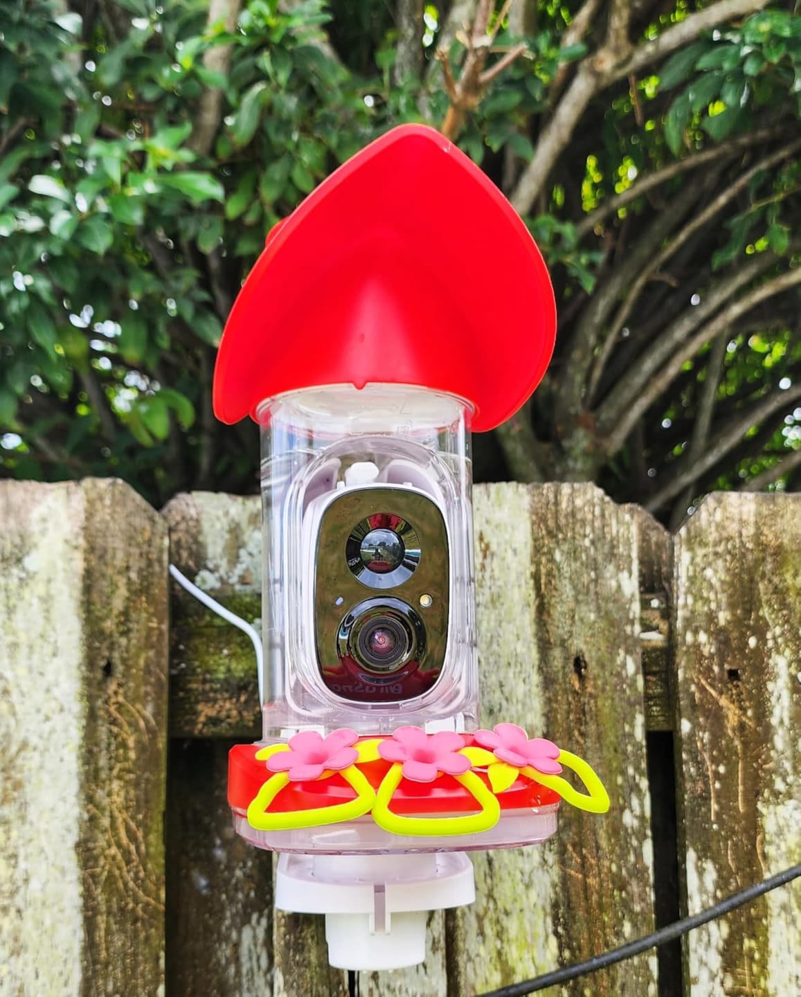 Customer photo review of Smart Hummingbird Feeder