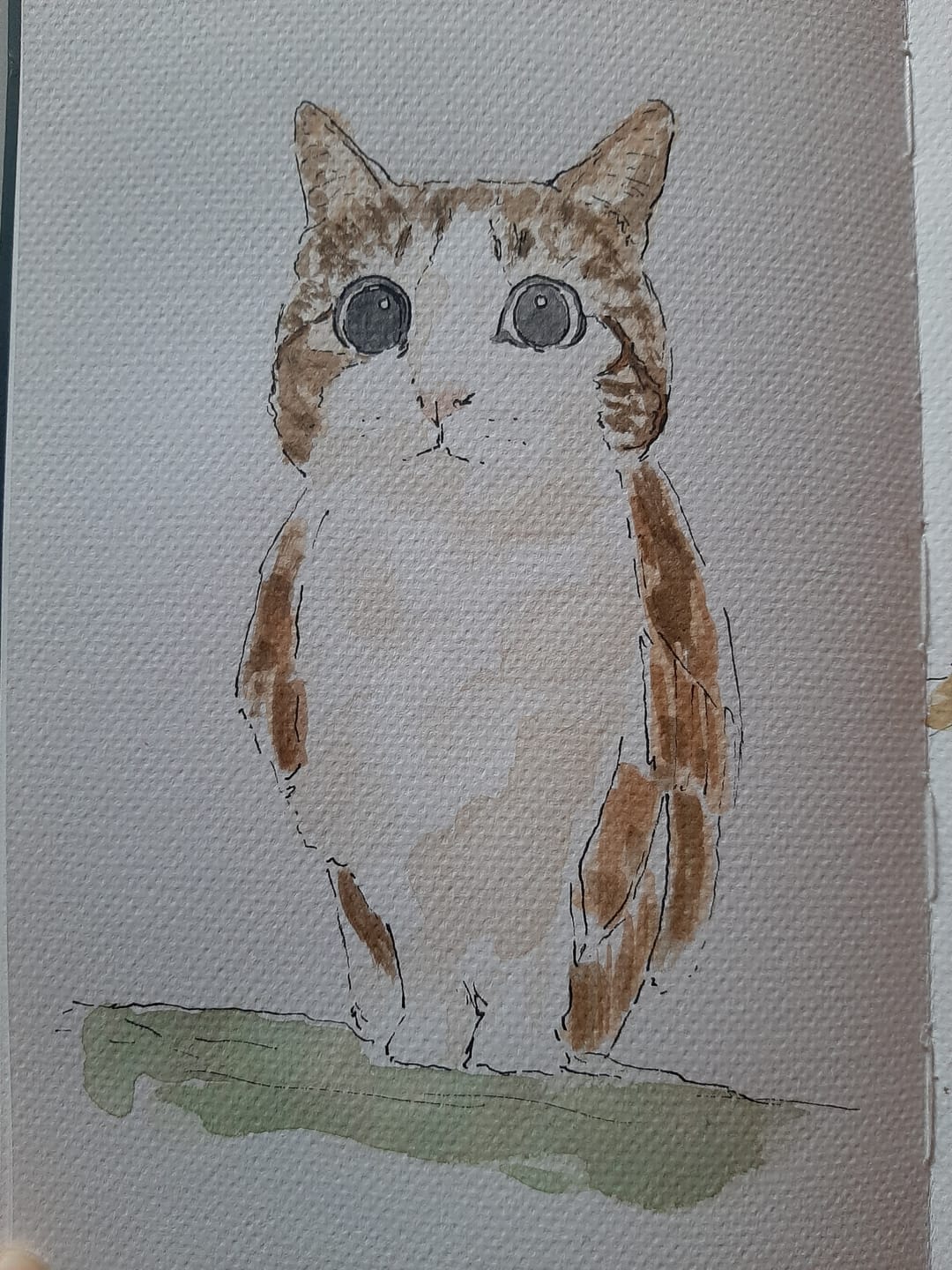 Customer photo review of Canson Graduate - Libreta Art Book Aquarelle 250 g/m2