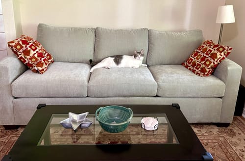 Customer photo review of Track 87" Sofa