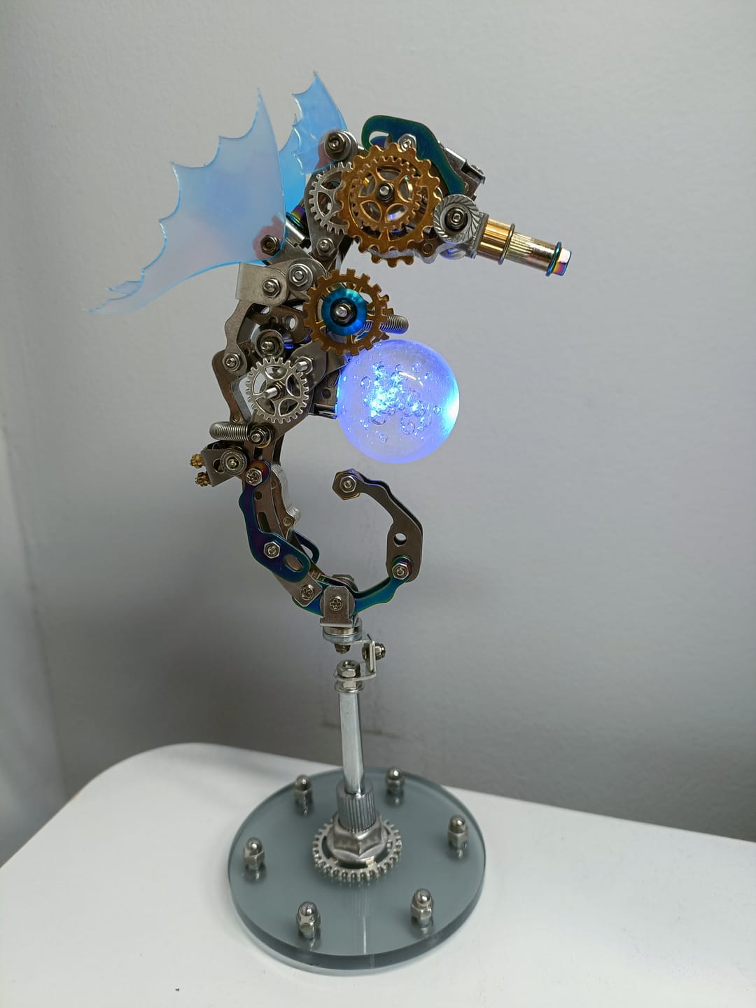 Customer photo review of Seahorse