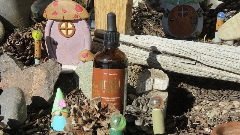 Customer photo review of Wild Reishi Tincture (250mg/ml)  |  1:4 Dual Extract (100ml/3.4oz)