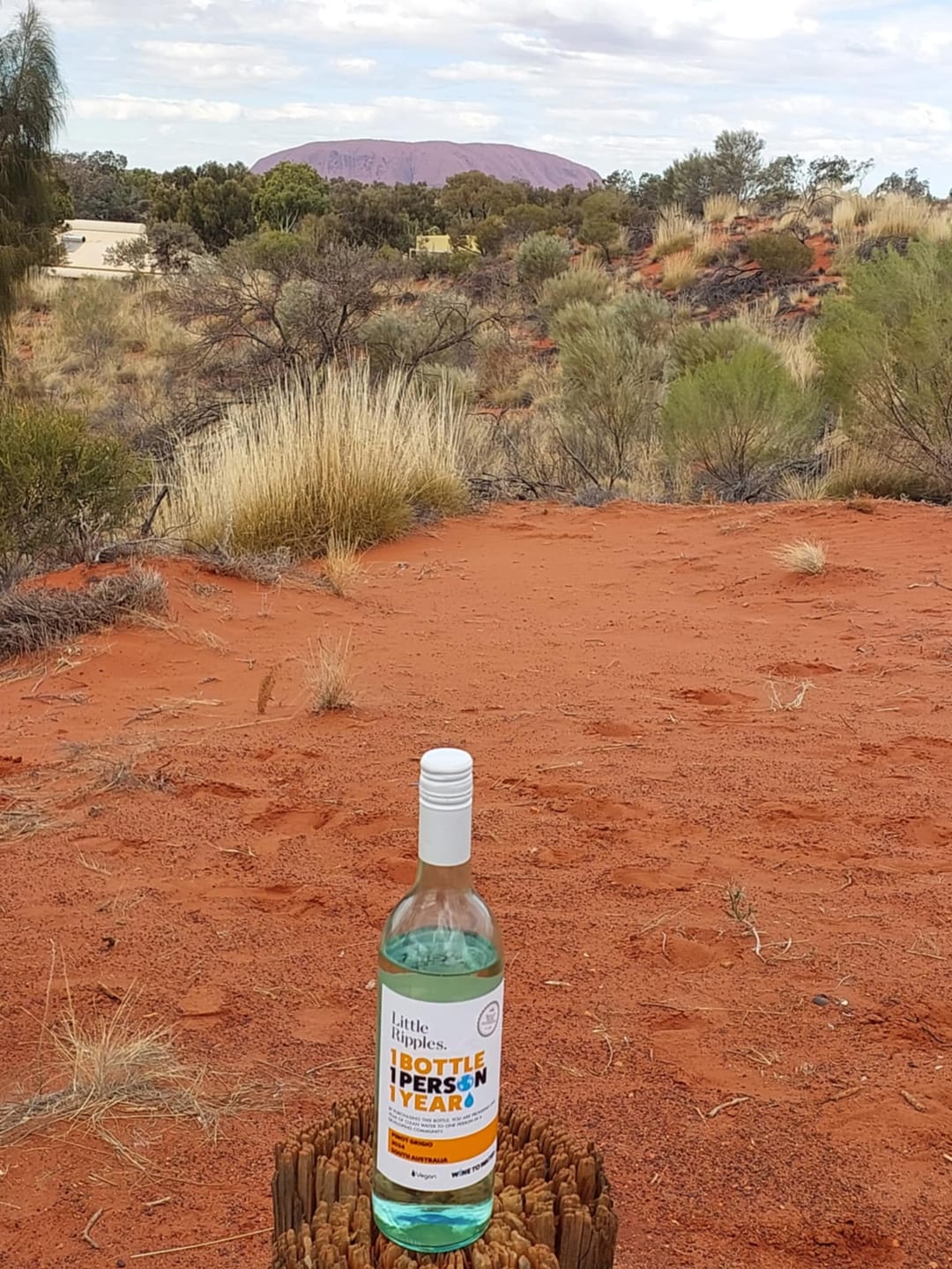 Customer photo review of Low Alcohol Pinot Grigio - 6pk
