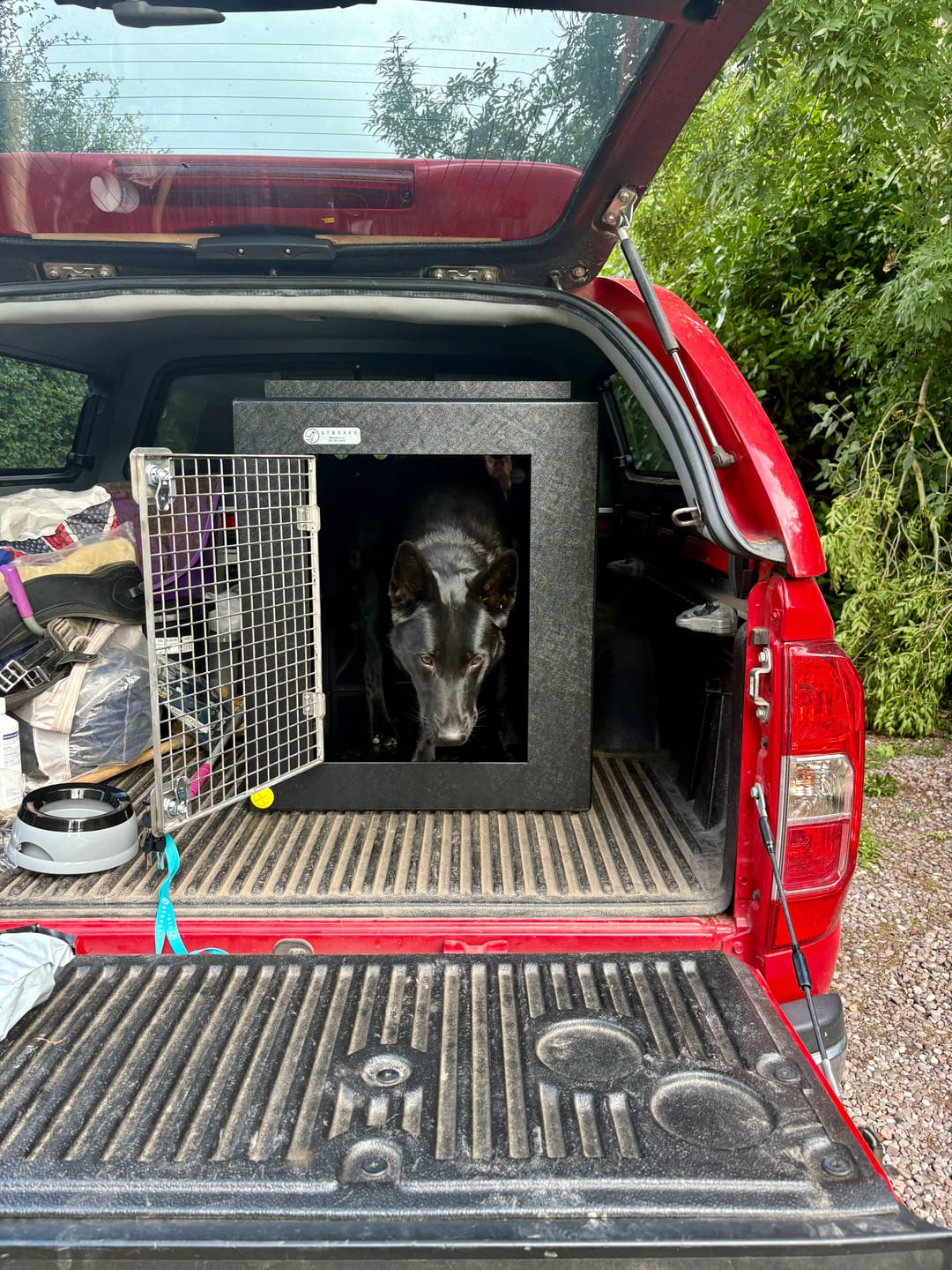 Customer photo review of DT Box Dog Car Travel Crate - The DT 600