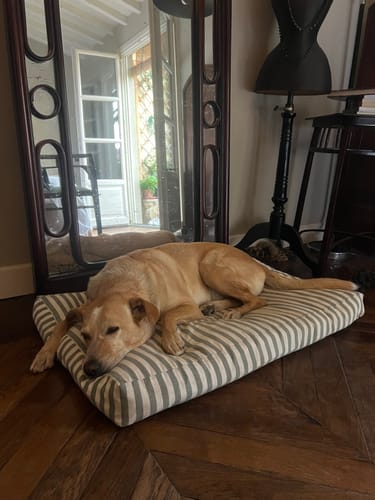 Customer photo review of Cover Materassino Sfoderabile Cotone Riga Larga Verde