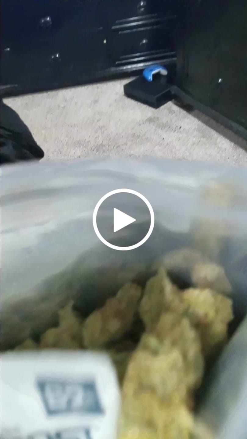 Customer video review of Sunrise to Sunset Exotic Smalls Bundle