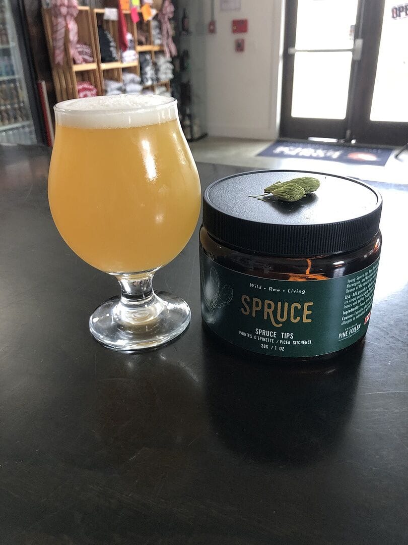 Customer photo review of Premium Freeze Dried Spruce Tips - (28g-1 oz.)