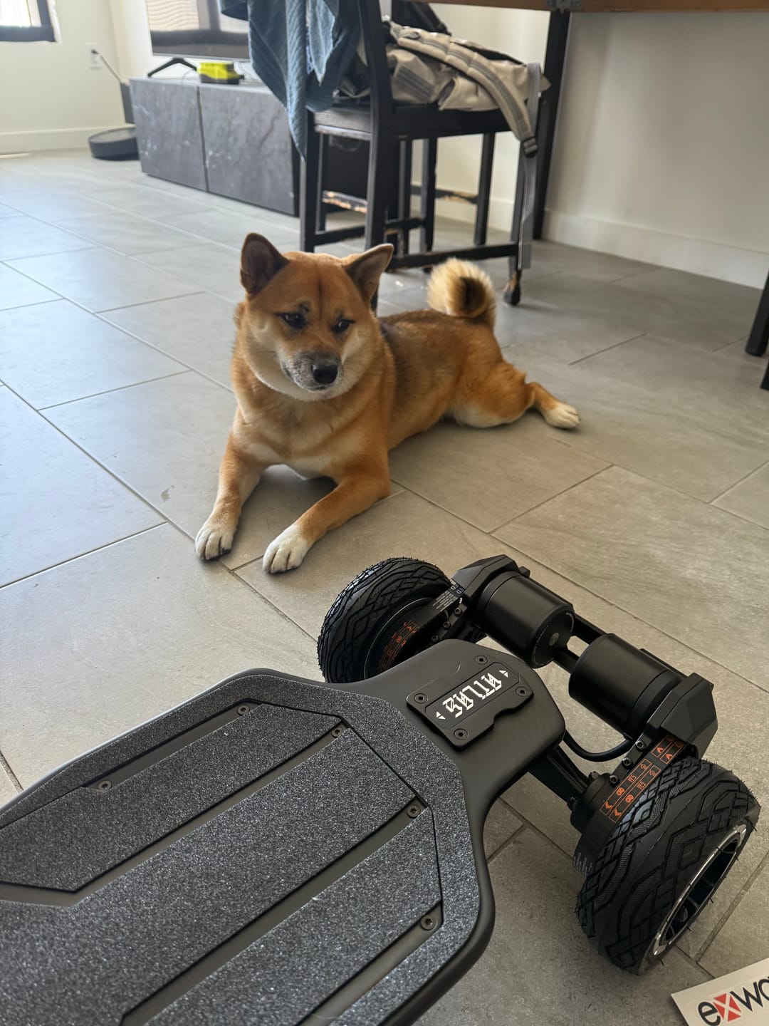 Customer photo review of Atlas