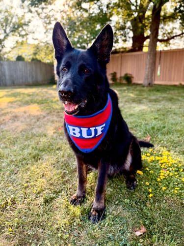 Customer photo review of Buffalo Knit Bandana – PRE-ORDER