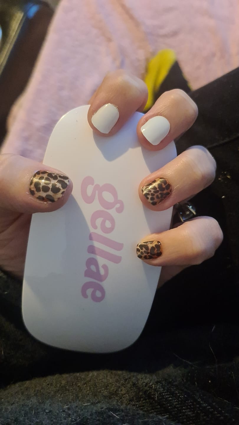 Customer photo review of Shipping Protection