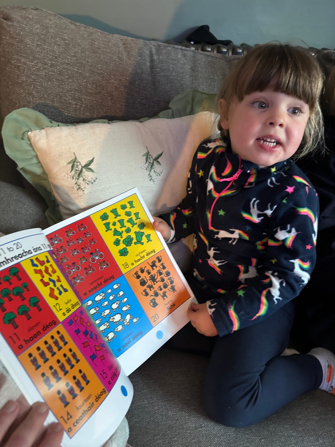 Customer photo review of My First Irish Word Book