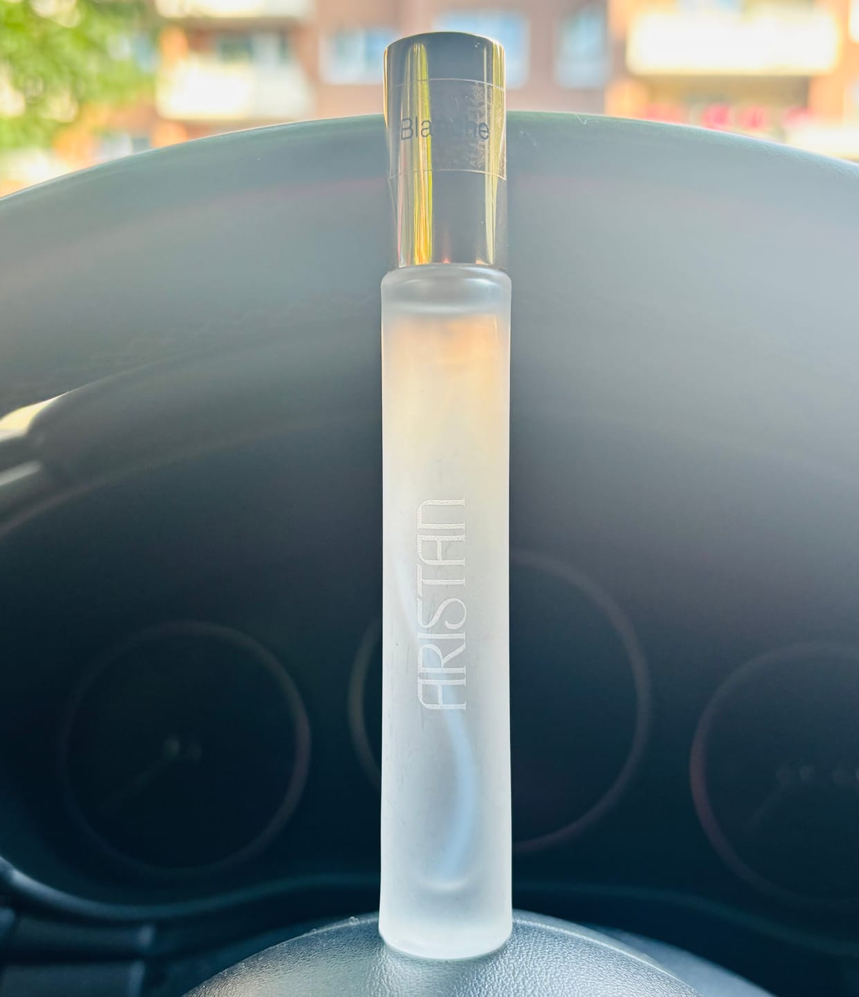 Customer photo review of Blance