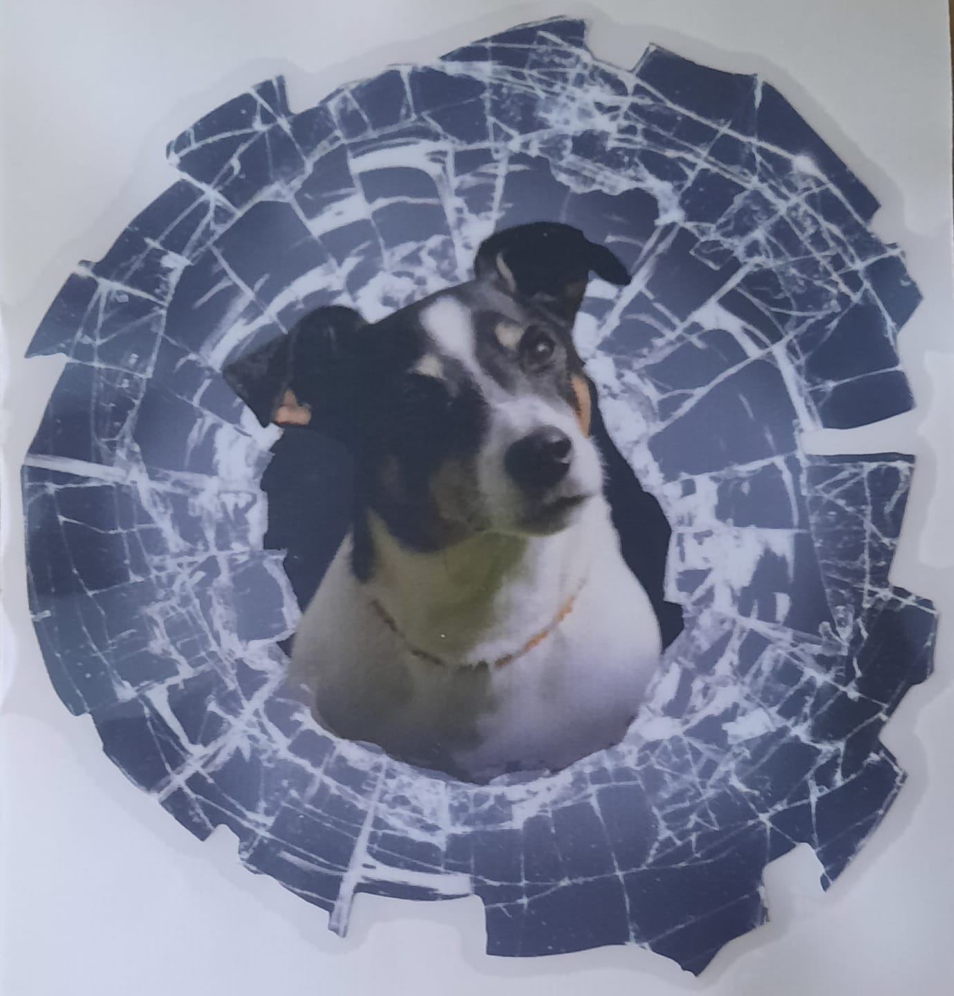 Customer photo review of Spähendes Foto Glas - Individueller Autoaufkleber